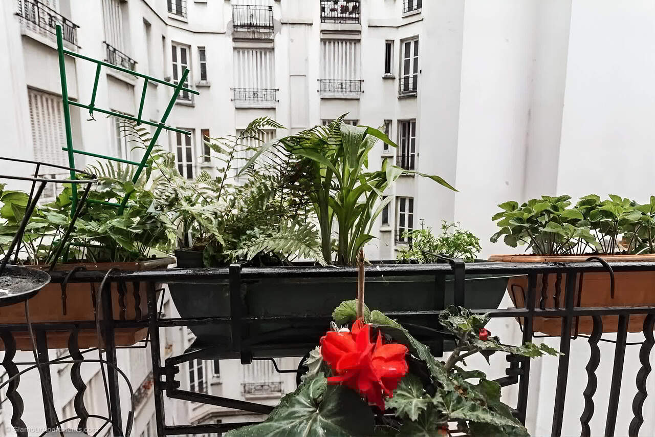 Район/окружение