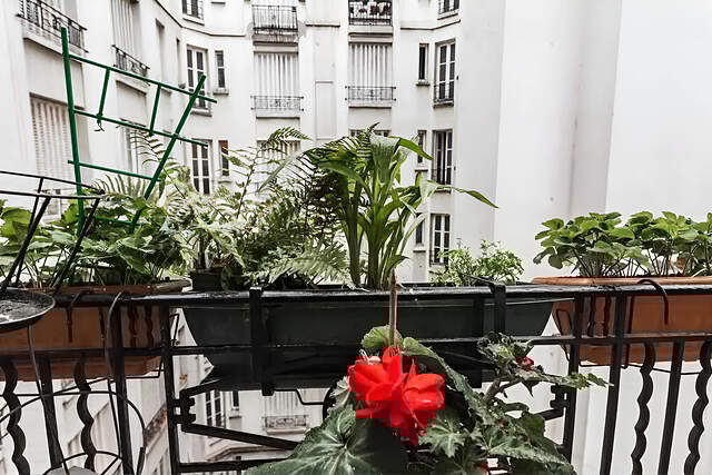 Район/окружение