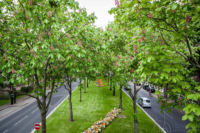 Район/окружение