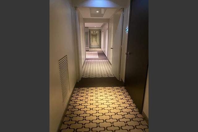 Общее описание