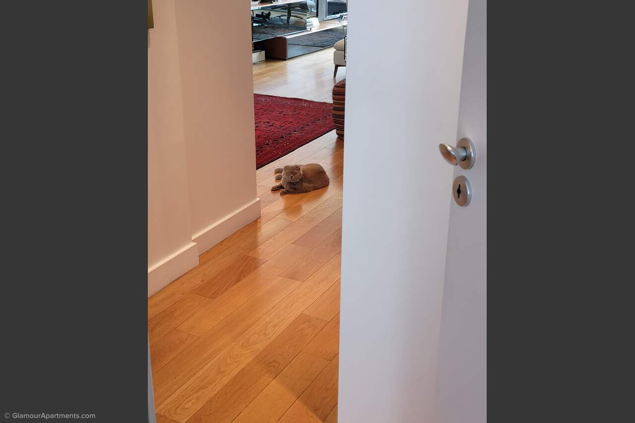 Общее описание