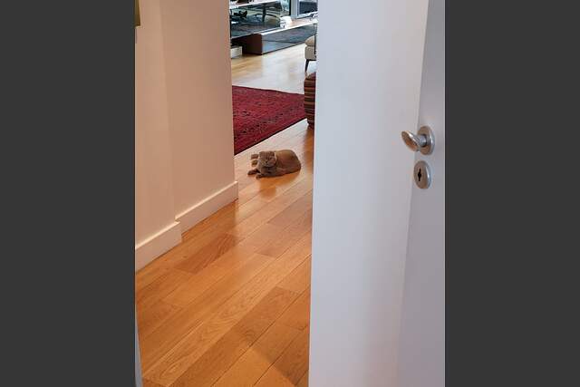 Общее описание